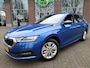 Skoda Octavia Combi 1.0 TSI Business Edition Trekhaak - Getinte ruiten  - Dealeronderhouden - NL auto