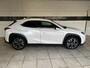 Lexus UX 250h Business Line Amazing edition