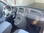 Fiat Panda 1.2 Edizione Cool AIRCO/DAKRAIL/EL.PAKKET