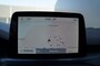 Ford Focus 1.0 EB Titanium X Active Aut. Ecc Cruise Navi Camera
