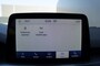 Ford Focus 1.0 EB Titanium X Active Aut. Ecc Cruise Navi Camera