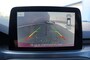 Ford Focus 1.0 EB Titanium X Active Aut. Ecc Cruise Navi Camera