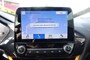 Ford Fiesta 1.0 ECOBOOST ACTIVE Automaat Trekhaak 100%NL (All-in prijs)
