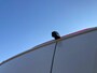 Volkswagen Crafter Bedrijfswagens Highline L3 2.0 TDI EU6 103 kW (140 pk) GVW 3.0T Betimmering | Opstaptrede | Sidebars