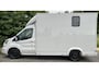 Ford Transit Paardenwagen / Horsetruck / Veewagen