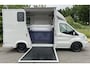 Ford Transit Paardenwagen / Horsetruck / Veewagen