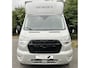 Ford Transit Paardenwagen / Horsetruck / Veewagen