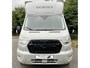 Ford Transit Paardenwagen / Horsetruck / Veewagen