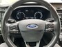 Ford Transit Paardenwagen / Horsetruck / Veewagen