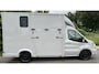 Ford Transit Paardenwagen / Horsetruck / Veewagen