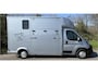 Peugeot Boxer Paardenwagen / Horsetruck / Veewagen