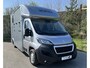 Peugeot Boxer Paardenwagen / Horsetruck / Veewagen