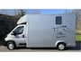 Peugeot Boxer Paardenwagen / Horsetruck / Veewagen