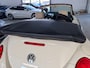 Volkswagen Beetle New Cabriolet 1.8-20V T Highline