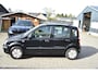 Fiat Panda 1.2 Edizione Cool
