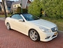 Mercedes-Benz E-klasse Cabrio 200 CGI Elegance met amg pakket hele nette auto vele extra's