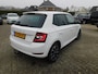 Skoda Fabia 1.0 TSI Business Edition, Carplay, Pdc, Trekhaak