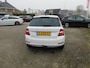Skoda Fabia 1.0 TSI Business Edition, Carplay, Pdc, Trekhaak