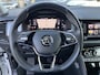 Skoda Kodiaq 1.5 TSI Business Edition Plus Virtual cockpit