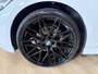 BMW 3-Serie Touring 318i M Sport Executive Edition Airco ECC | Panorama | Keyless | Sfeer | Virtual | Apple Carplay | Cruise Control | Isofix | NAP