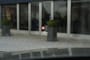 Audi Q5 55 TFSI E S EDITION QUATTRO/HUD/MATRIX/PANO/360/ 21 INCH/LUCHT
