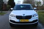 Skoda Karoq 1.0TSI 116pk Ambition Business ECC/cruise/navi/PDC/trekhaak
