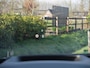 Jaguar I-Pace EV400 SE 90 kWh | Panoramadak | Camera | Head-Up Display | Meridian Audio | Stoelmemory |