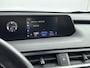Lexus UX 250h Business Line | BTW-Auto | Carplay | Blind-Spot |