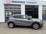 Renault Captur 1.0 TCe 100 Zen Trekhaak (BOVAG/RIJKLAARPRIJS)