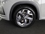 Skoda Kodiaq Sportline Business PHEV 1.5 TSI 204pk DSG-6 | Light & view