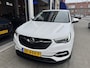 Opel Grandland X 1.2 Turbo Business + NL AUTO/TOPSTAAT