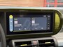 Fiat Grande Panda 1.2 Hybrid ICON Carplay / PDC / Cruise / Lm Velgen