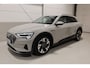 Audi E-tron e-tron 55 quattro advanced Pro Line Plus 95 kWh I Siambeige I