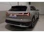 Audi E-tron e-tron 55 quattro advanced Pro Line Plus 95 kWh I Siambeige I