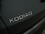 Skoda Kodiaq 1.5 TSI 150PK DSG BUSINESS EDITION | Trekhaak | Camera | Stoelen verwarmd