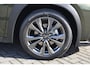 Lexus UX 300h 35th Edition NIEUW DIRECT-LEVERBAAR STUURVERW STOELVERW EL-ACHTERKLEP