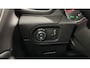 Opel Grandland X 1.2 Turbo Business Executive CAMERA TREKHAAK CARPLAY LM NAVI ECC CRUISE.
