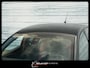 Opel Corsa-e GS Line Sport 50 kWh Carplay Navi Cruise Soh93%