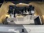Peugeot 2008 1.2 Hybrid 136 Allure | LED | Navi | Keyless | Apple/Android | PDC v+a incl. camera | Adapt. Cruise