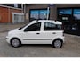 Fiat Panda 1.2 Actual