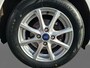 Ford Fiesta 1.1 Trend 85PK | Voorruitverwarming | Lichtmetalen velgen | Cruise Control | Trekhaak | Parkeersensoren |