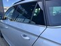 Skoda Kamiq 1.0 TSI Business Edition Panorama Dak, App-Connect & Trekhaak