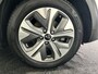 Kia Niro EV e-Niro ExecutiveLine 64 kWh | Eco line | Lederen bekleding | Soh (batterijcheck) 85,3 %