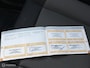 Citroën C4 Cactus 1.2 110PK Shine | CRUISE | NAVI | TREKHAAK |
