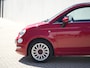 Fiat 500 1.0 Hybrid 70 PK RED | Navi | Carplay | Clima | Pano | Cruise