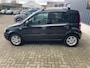 Fiat Panda 1.2 Edizione Cool