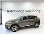 Peugeot 3008 1.2 PureTech Prem Bovag Garantie NAP