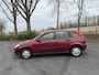Ford Focus 1.4-16V Trend ZO INGERUILD DUS ZO WEG PRIJSJE