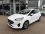 Ford Fiesta 1.0 ECOB.HY. TITANIUM 125 PK NAVI AIRCO PDC