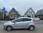 Ford Fiesta 1.0 EcoBoost Titanium Stoelverwarming Clima